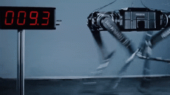 <b>全球最快机械狗来自杭州！背后有什么野心</b>