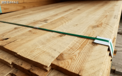 <b>2024年南方松木出口增加显著岁尾略有回落</b>