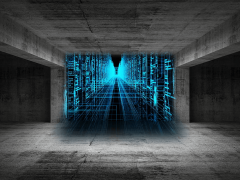 木材之家行情：洞察市场风云把握行业先机